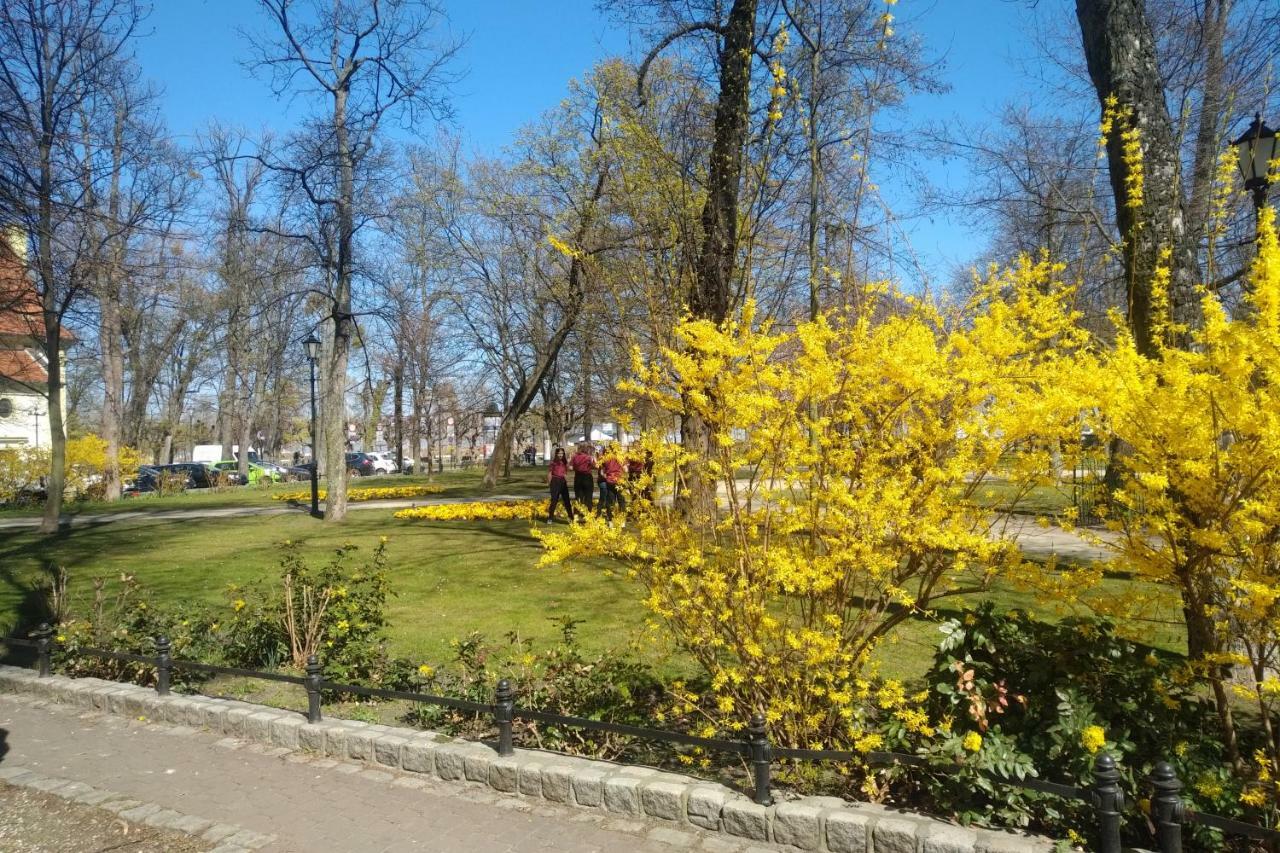 Blekitny Wieloryb Przy Plazy, Molo, Idealny Dla Podroznikow Apartment *